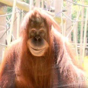 Meet your Posher, Lou